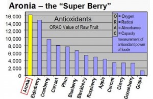 Antioxidant Chart