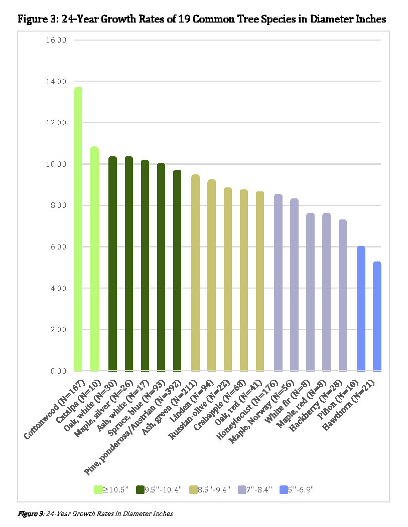 growth-chart-from-csfs-urban-tree-growth-rate-study-2016-02aug2017